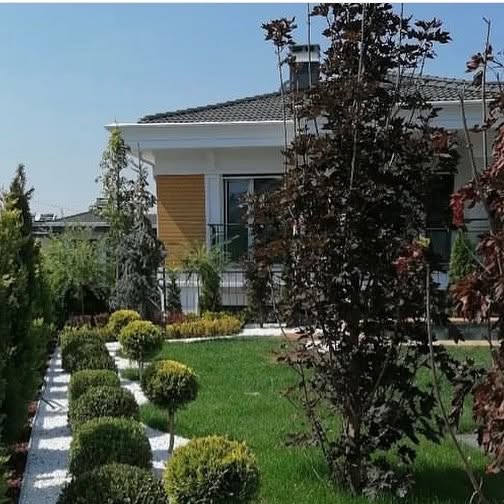 Drenaj ve Sert Zemin Çözümü